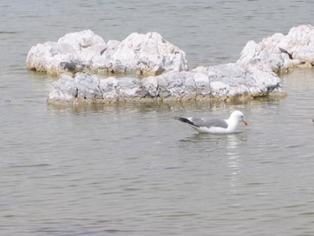 IMG_0075